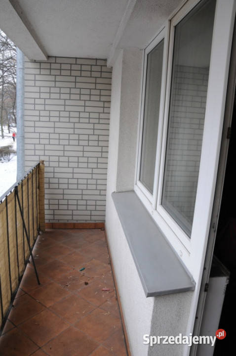 Mieszkanie w śródmieściu parku Piętro 1 mazowieckie Warszawa