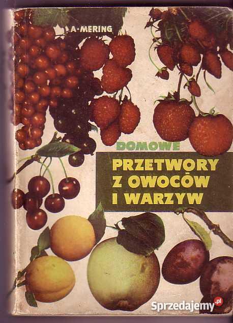 3241 PRZETWORY Z OWOCÓW I WARZYW ANDRZEJ MERING małopolskie Czyrna