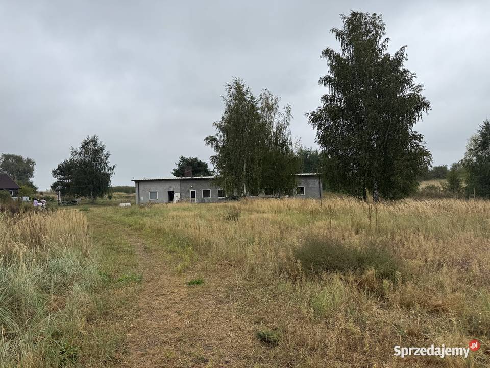 Syndyk sprzeda nieruchomość mieszkalny Sochaczew sprzedam