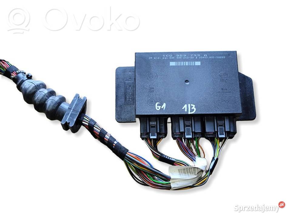 VW Golf IV PASSAT B5 Leon Octavia STEROWNIK wielkopolskie