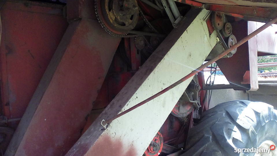 Bizon Z050 pomorskie Chojnice