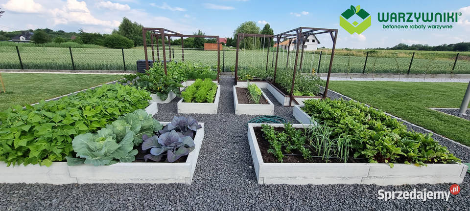 Skrzynie na warzywa wysokie warzywniak