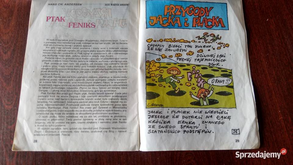 Skarb malucha jesień 2401 Stalowa Wola