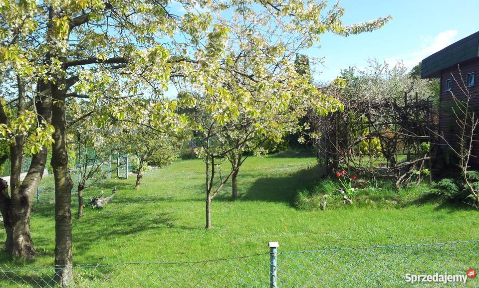 Sprzedam działkę na ROD Domagalskiego w Gdyni Gdynia