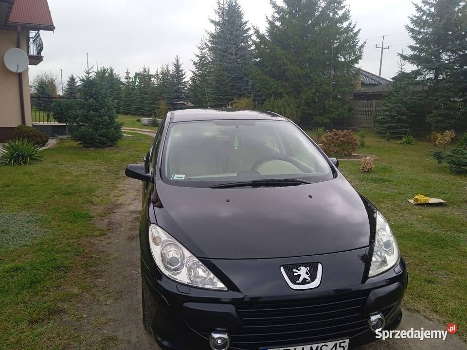 Peugeot 307 16 Benzyna160przebieg Super stan nieuszkodzony Łagów
