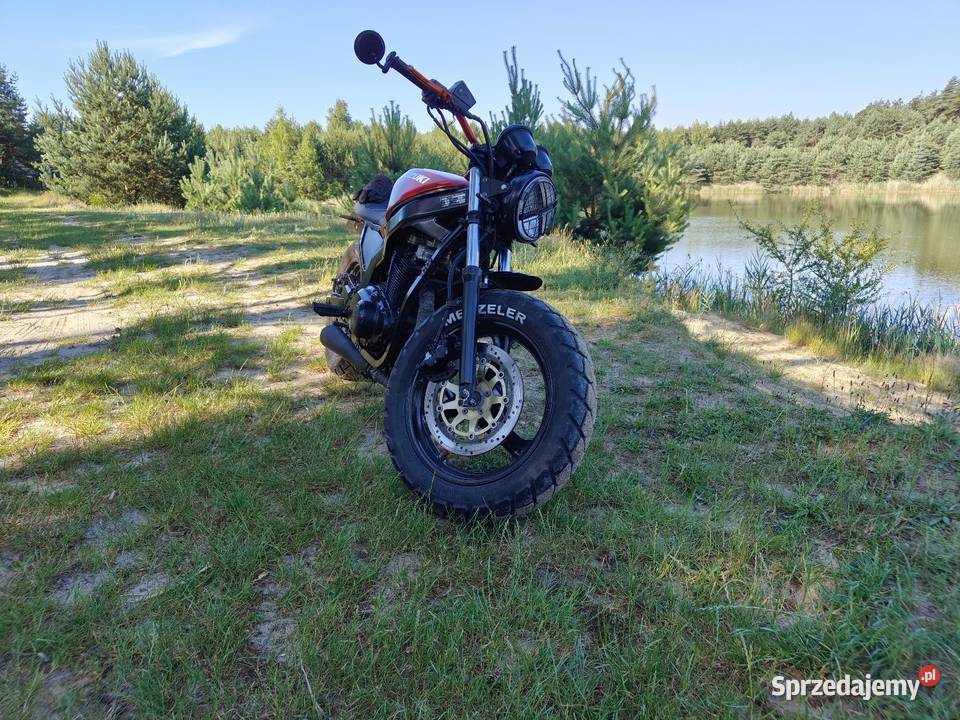 Suzuki gs500e scrambler caffe racer