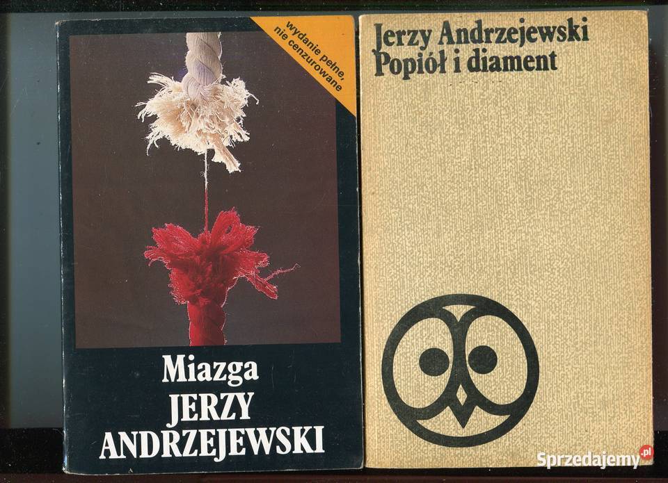 Popiół i diament Miazga Jerzy Andrzejewski miękka zachodniopomorskie Szczecin sprzedam