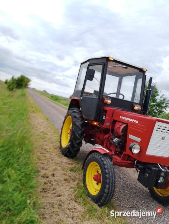 Władimirec T25 Mirów Nowy