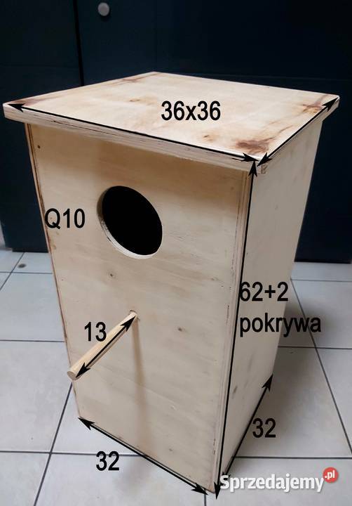 budka lęgowa papuga Ptaki Rybnik