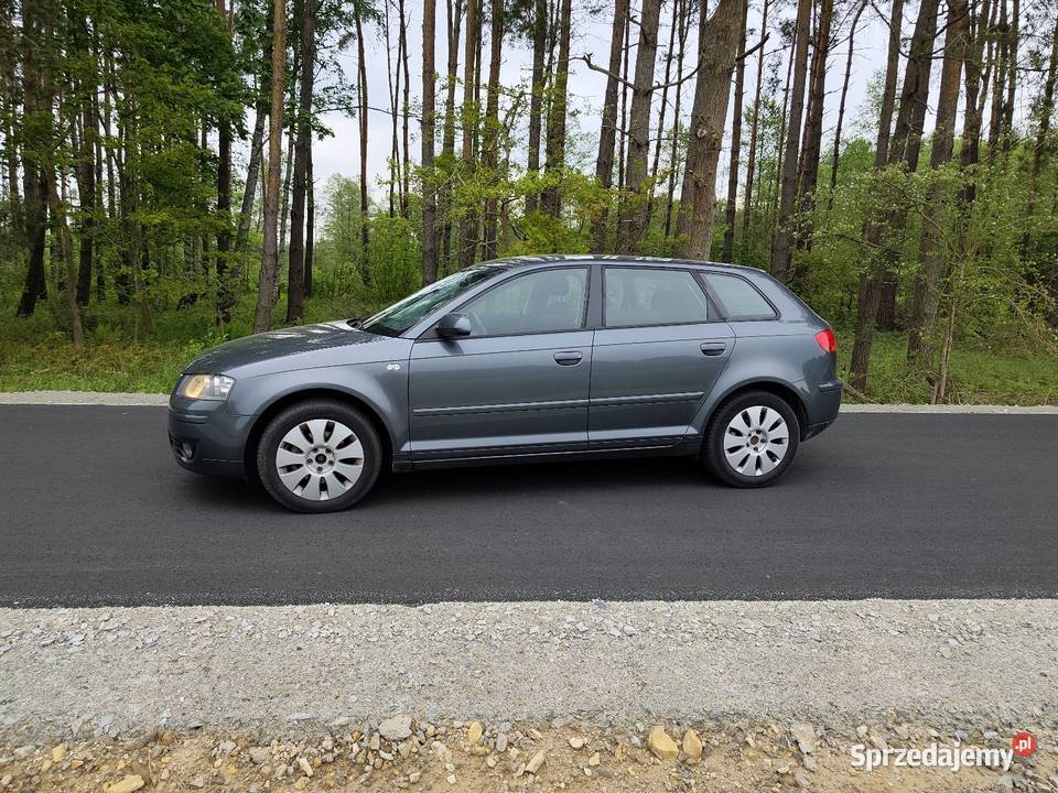 Audi a3 8P 20TDI z Niemiec sprowadzony Dzbanki sprzedam