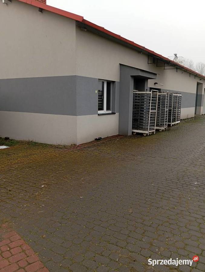 Do wynajęcia obiekt produkcyjny ok 250m2 ubojnia Osiecza Pierwsza