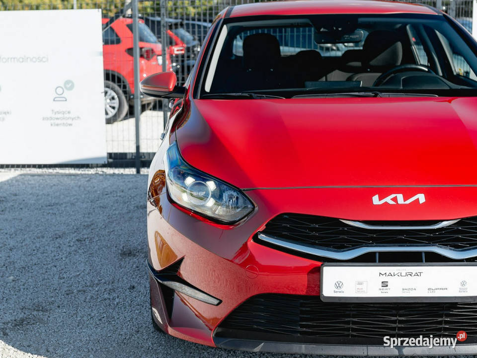 Kia Ceed WND5853C15 TGDI M DCT 2 stref klima automatyczna Kia Gdańsk