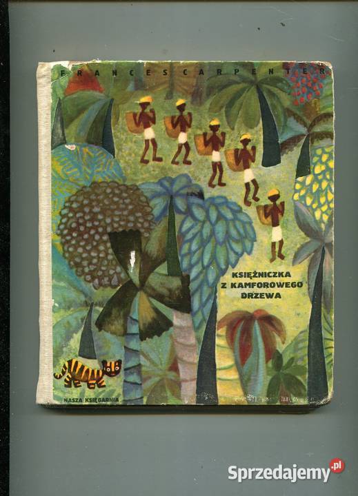 Księżniczka z kamforowego drzewa zachodniopomorskie