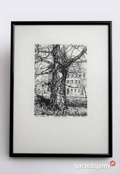 Drzewo grafika czarnobiała Agnieszka Paluch 1994 lubelskie Lublin sprzedam