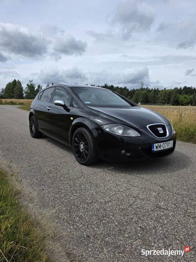 SEAT Leon 2 Wąsy