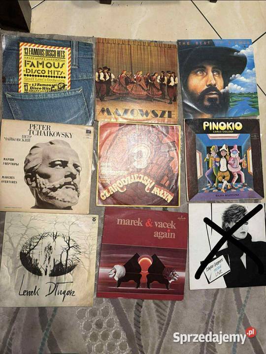 Płyty winylowe stan Zamość