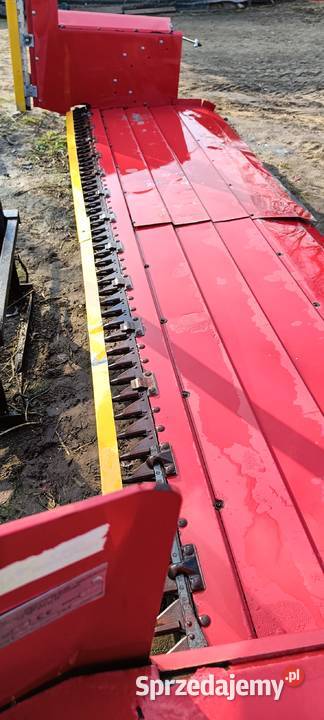 Stół do rzepaku Bizon Jeżów sprzedam