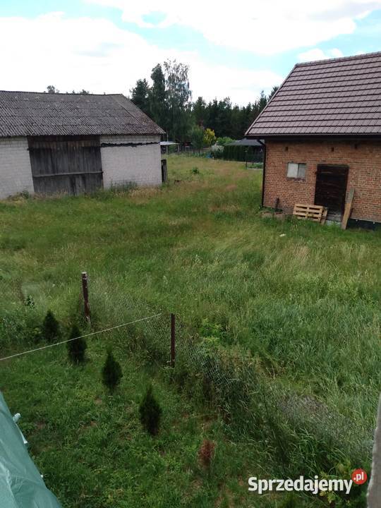 Trawa na siano do skoszenia łódzkie Bełchatów