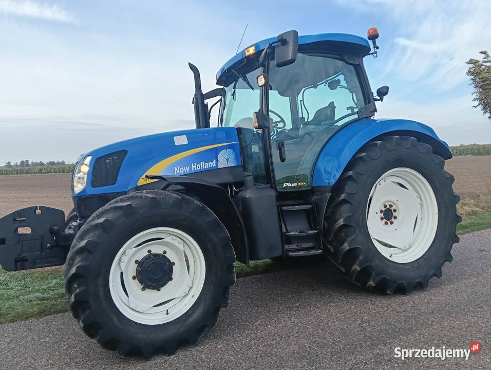 Holland TS 115 super stan