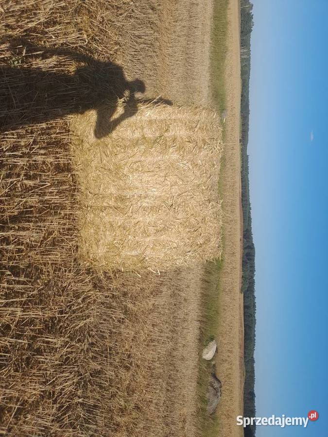 Gallignani 3200 siatka sznurek