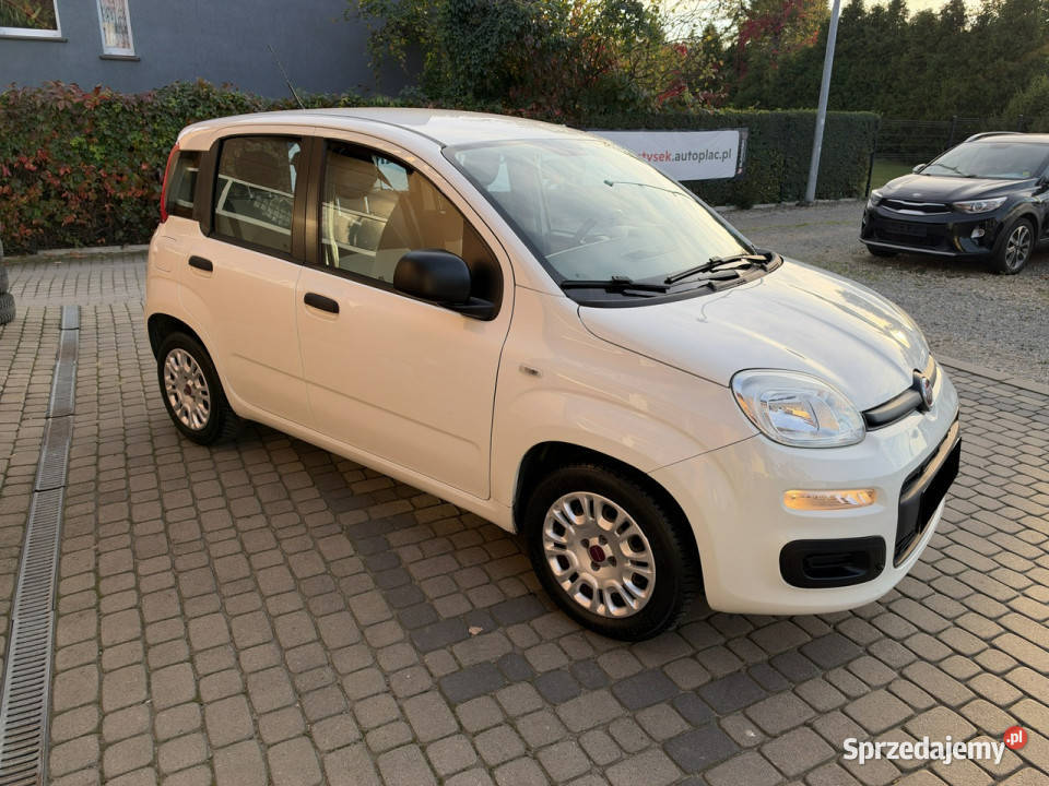 Fiat Panda Rezerwacja II 20032012 benzyna Panda Orzech
