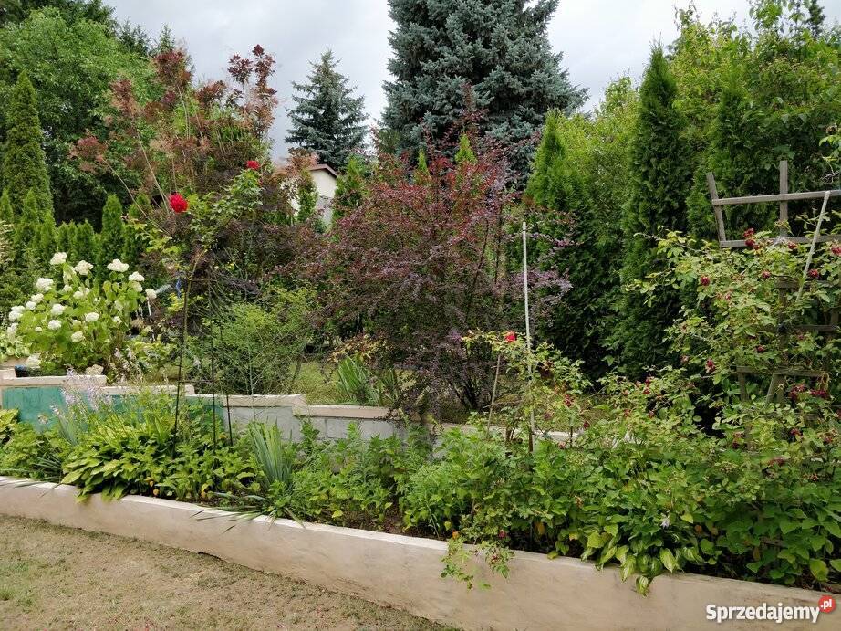 Pomiechówek działka rekreacyjna 323m2 w z