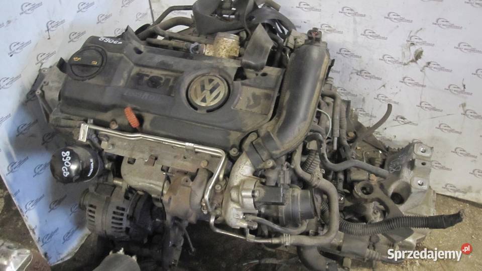 VOLKSWAGEN GOLF POLO 10r 14 TSI CAX 122 126 Kielce