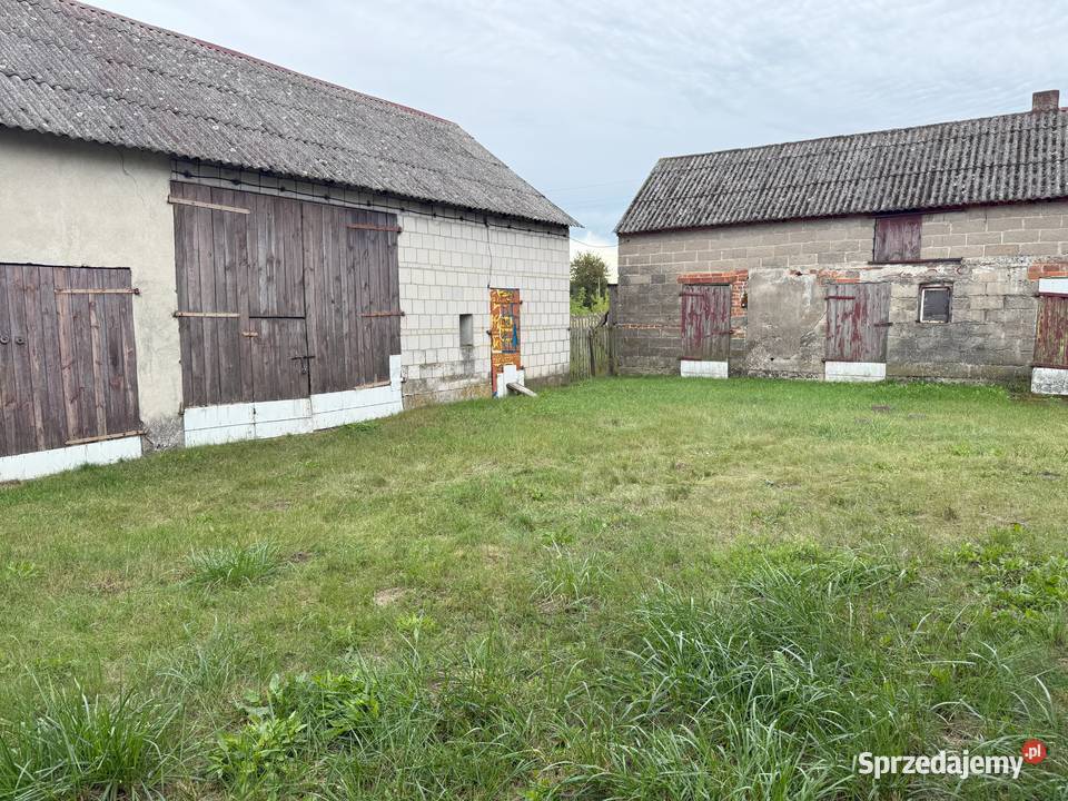 Dom jednorodzinny z budynkami gospodarczymi 4815zł/m2 Sprzedaż Dąbrowice Stare