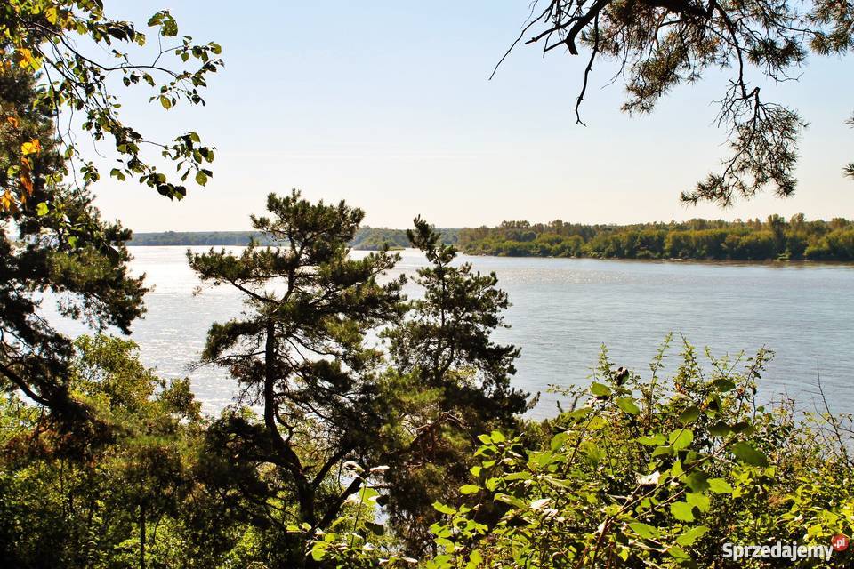 Villa Duchowizna pod Wwą na sprzedaż 475 ha Zakroczym