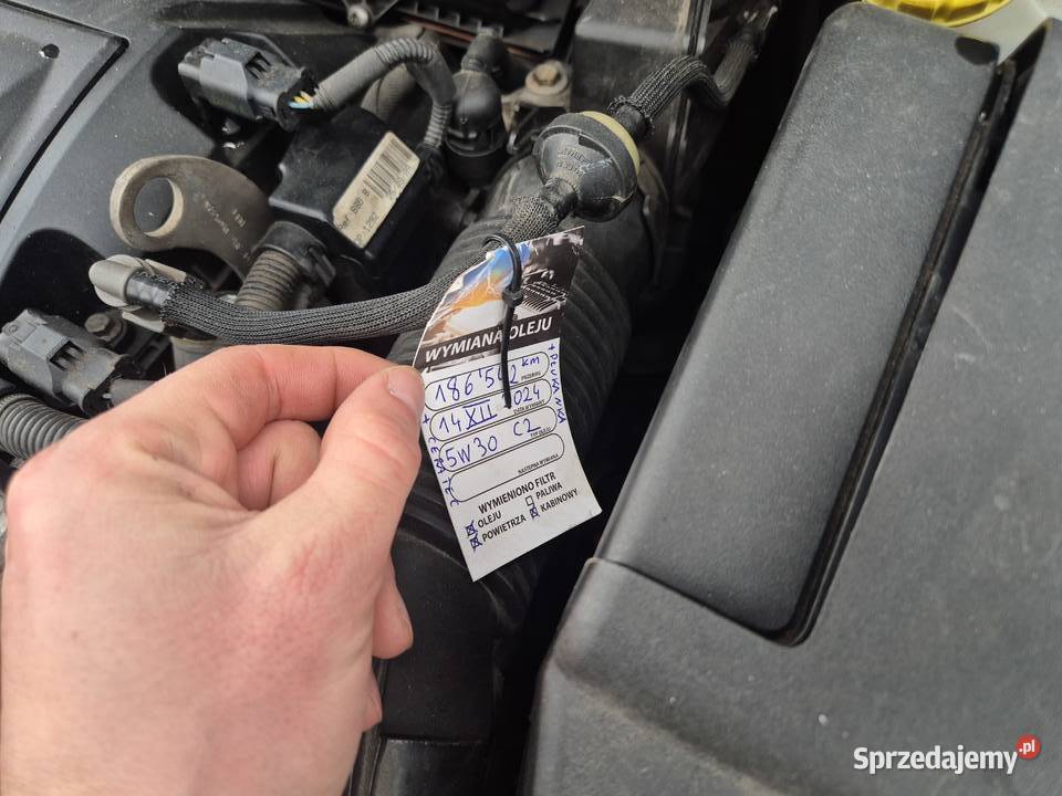 Peugeot 207 LIFT 5 Drzwi 14 benzyna 95 Klima nieuszkodzony śląskie Bujaków