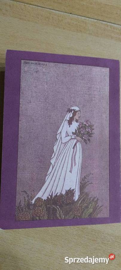 Wymarzony dom Ani miękka Książki dla dzieci