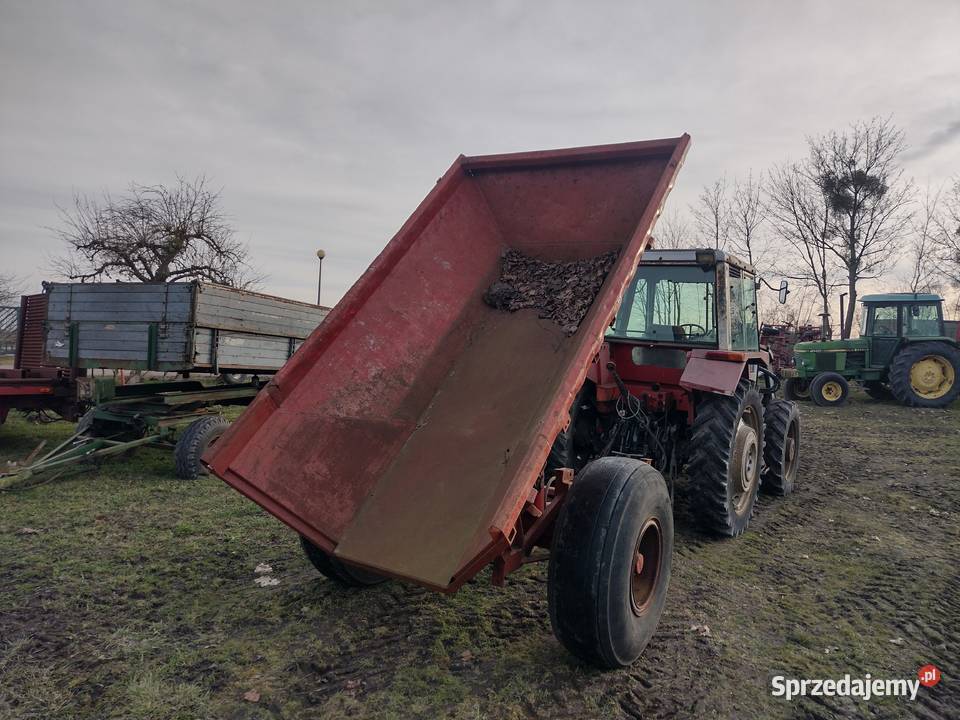 Waga do ważenia bydła inwentarzowa Sośno sprzedam
