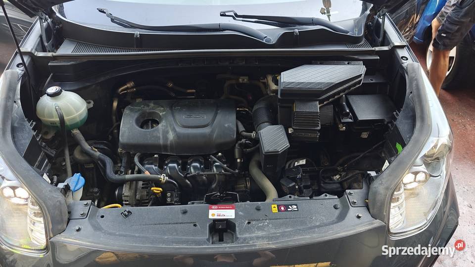 SPORTAGE Sportage Poddębice