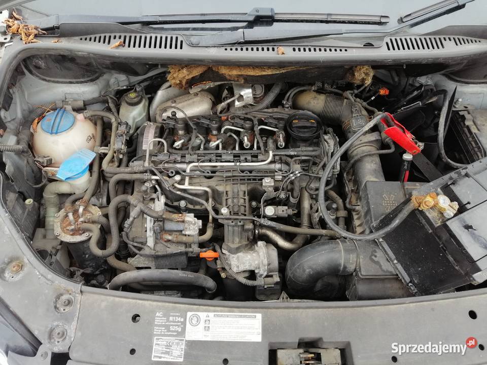 Touran 16 tdi Pasłęk
