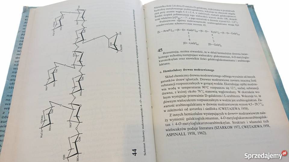 Hemiceluloza Chemia i wykorzystanie Zygmunt Kin Goleniów