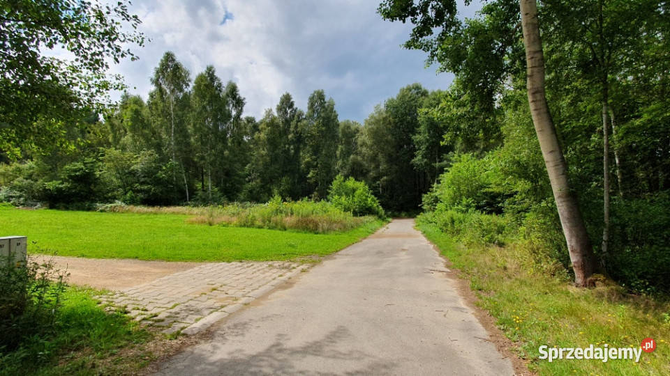 Działka budowlana z WZ las Rększowice gmina śląskie
