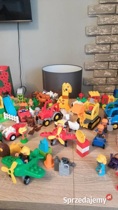LEGO Duplo Klocki lubelskie Ryki