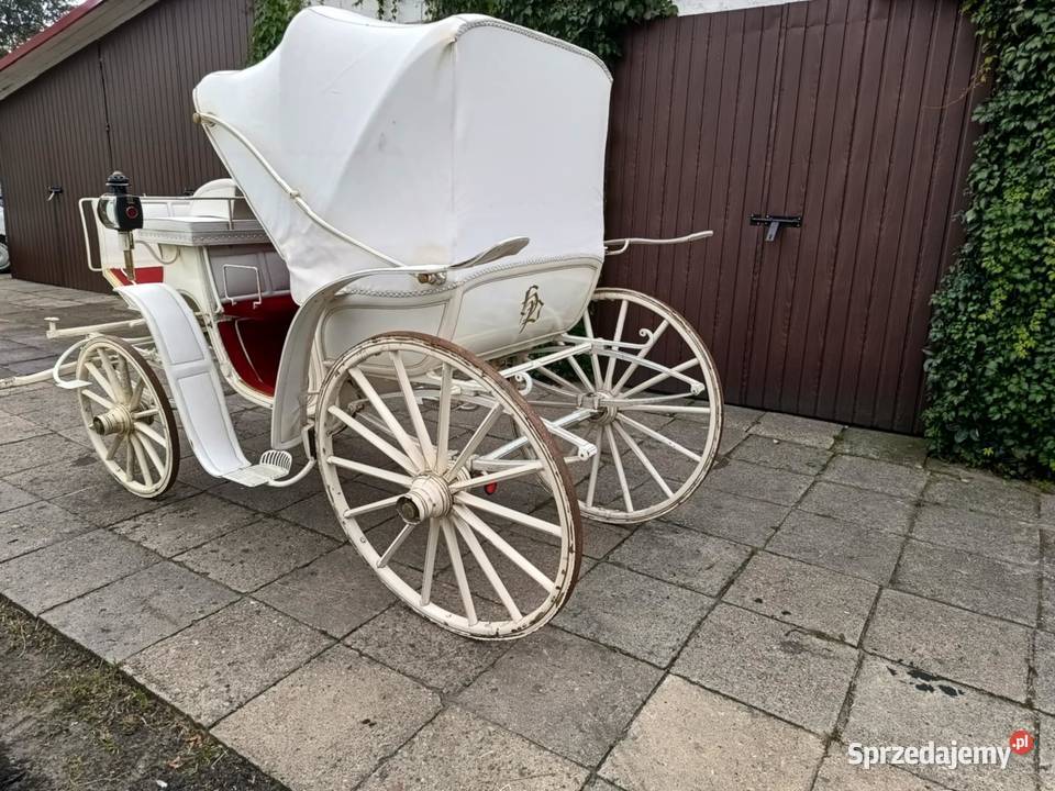 Powóz Konny Milord Bryczka Zwierzęta Dobroń sprzedam
