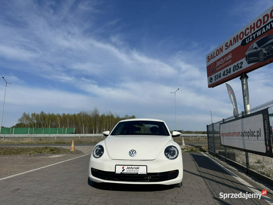 Volkswagen Beetle Lipówki