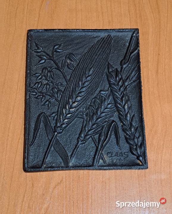 płytki żeliwne do powieszenia na ścianie 5 sztuk Warszawa sprzedam