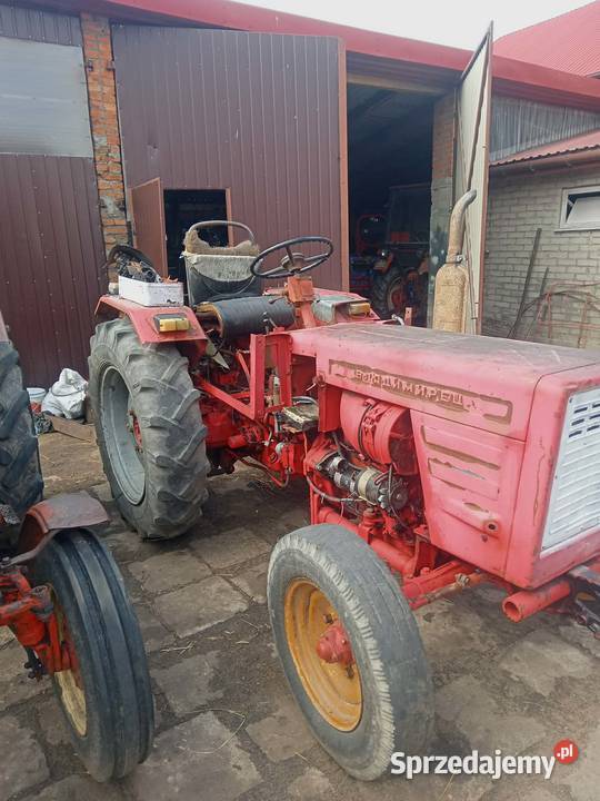 Sprzedam t25 Gęś