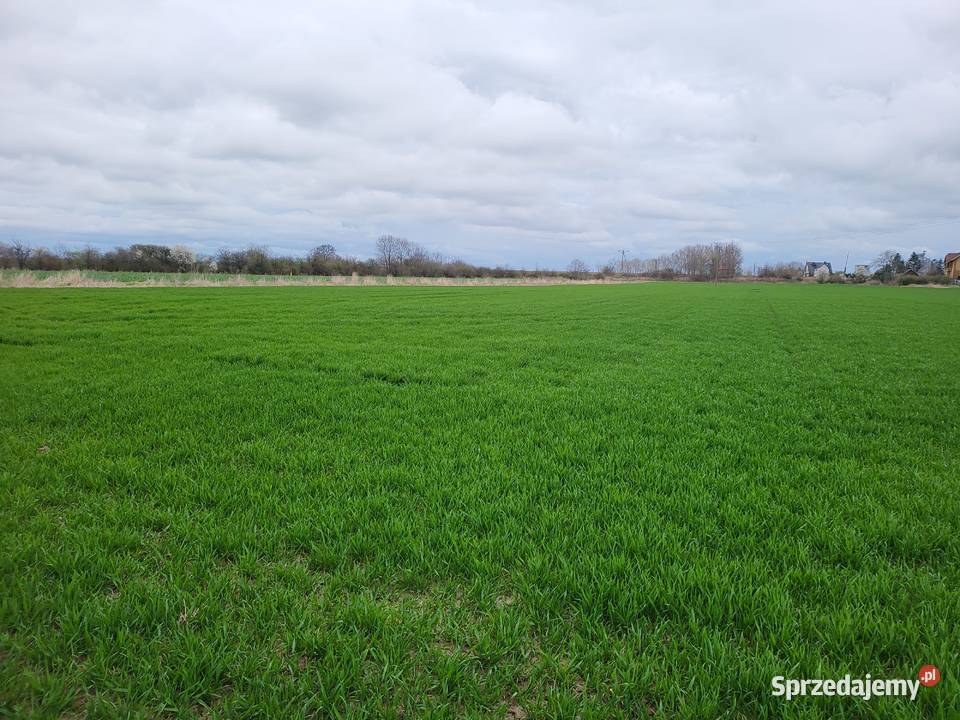 Sprzedam działki budowlane w Głogówku Uzbrojone opolskie Głogówek