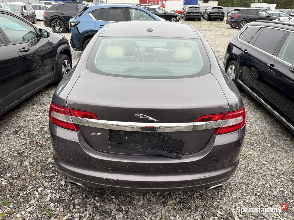 JAGUAR XF 27D V6 PREMIUM LUXURY X250 2008r 230 Prudnik