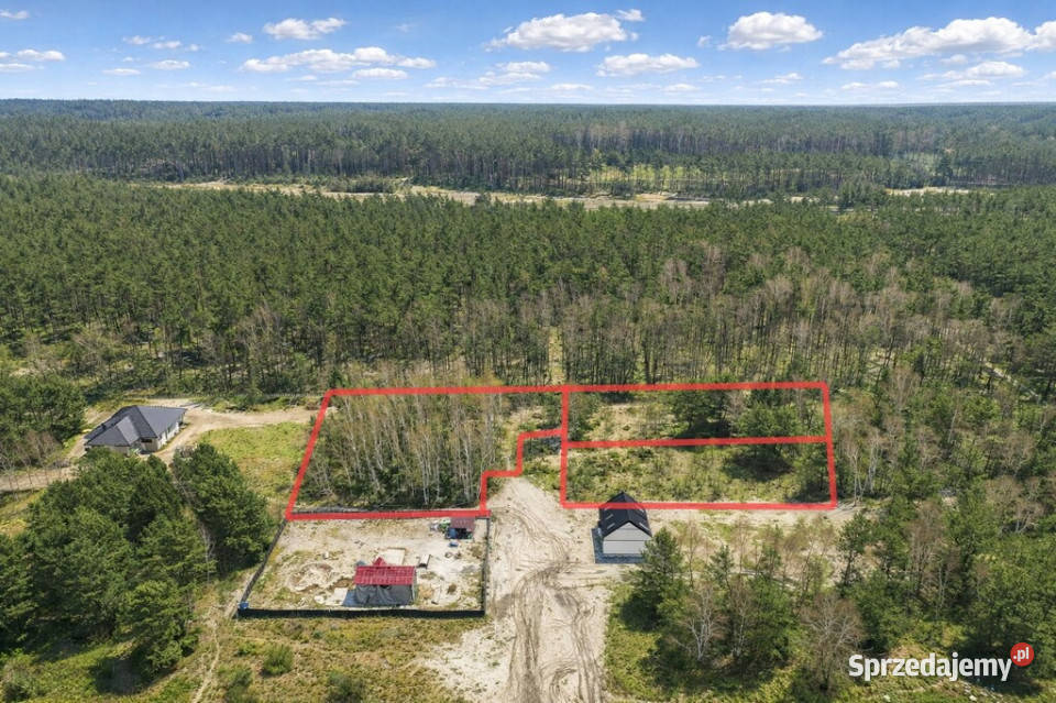 Działka budowlana ścianie lasu szambo