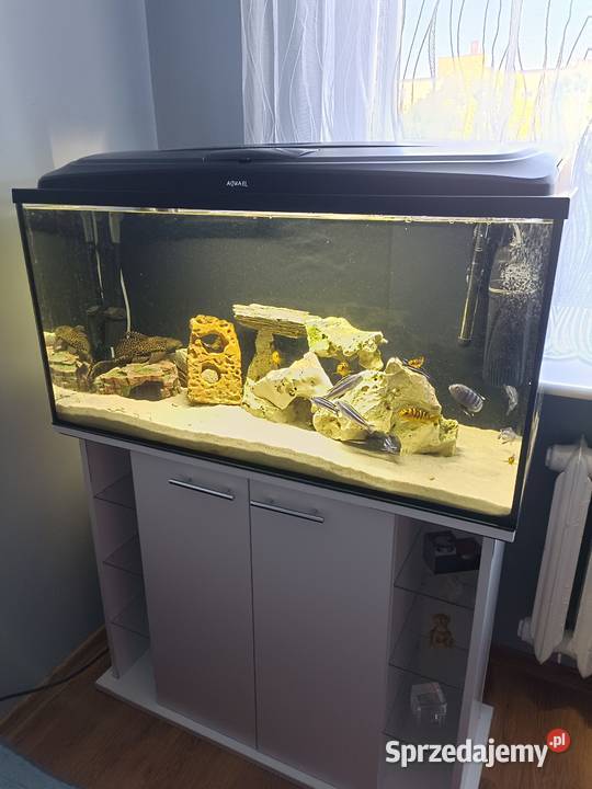 Sprzedam akwarium