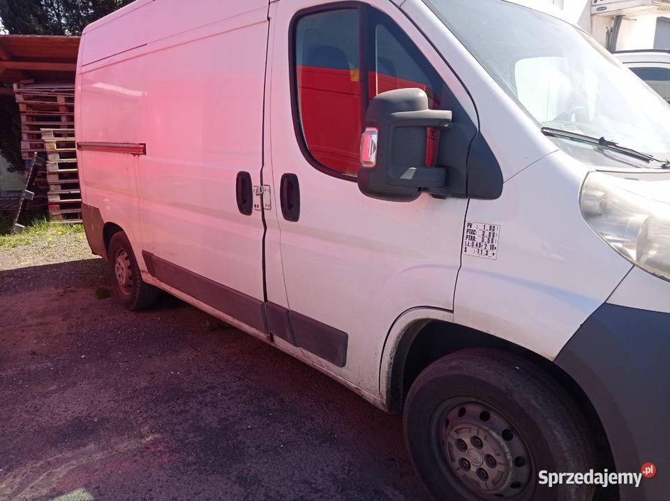 Fiat Ducato Dostawczy Bus nieuszkodzony dolnośląskie Lubań