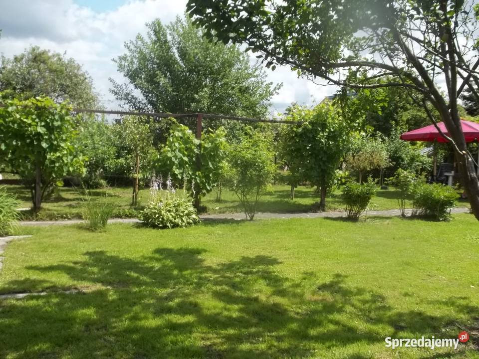 Ładna działka ROD Jeziorem Nieruchomości zachodniopomorskie Szczecin sprzedam