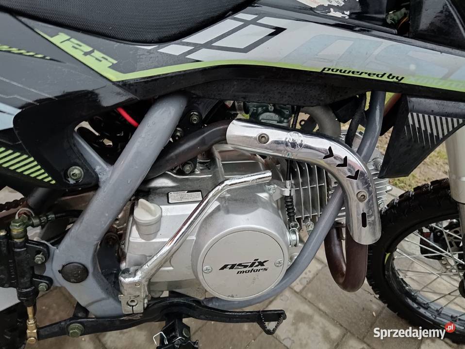 Asix xb 27 szuka nowego domu