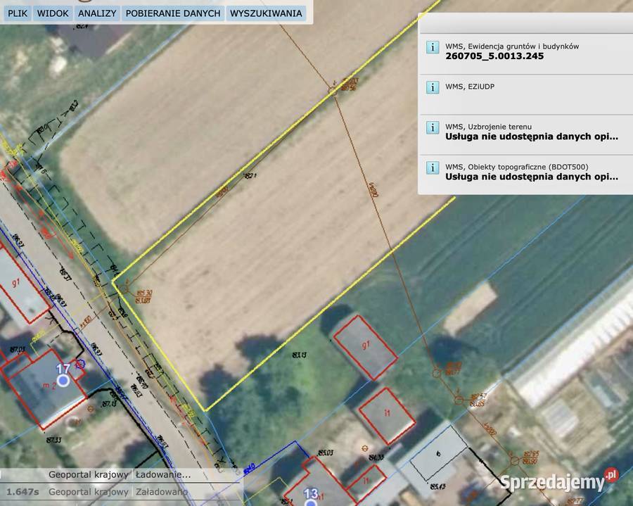 Działka Rolno Budowlana 9900 m2 Nietulisko Małe sprzedam