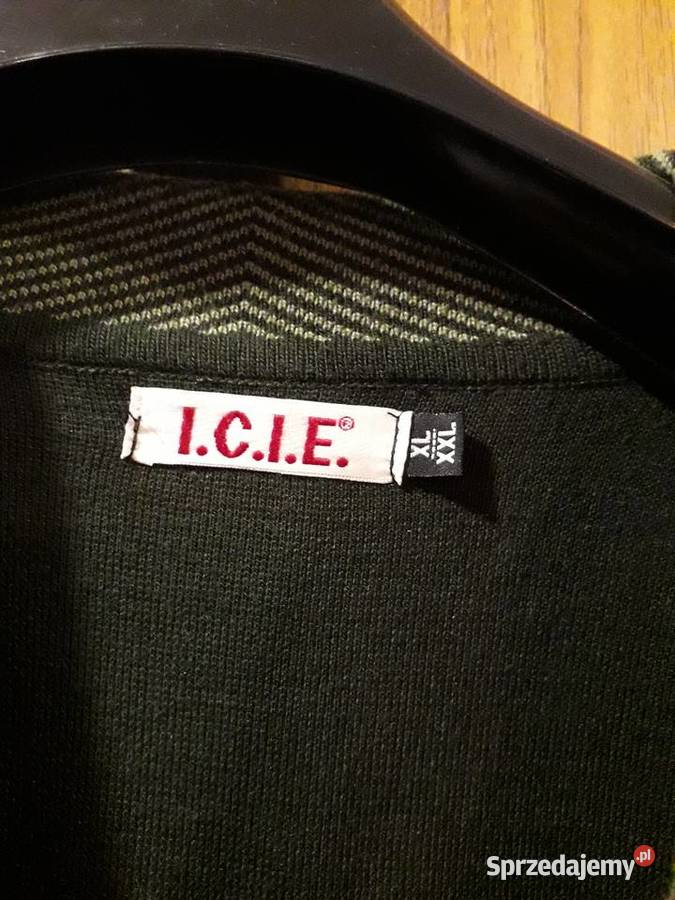 NIESPOTYKANY sweter z wzorem liści modny kolor Spytkowice